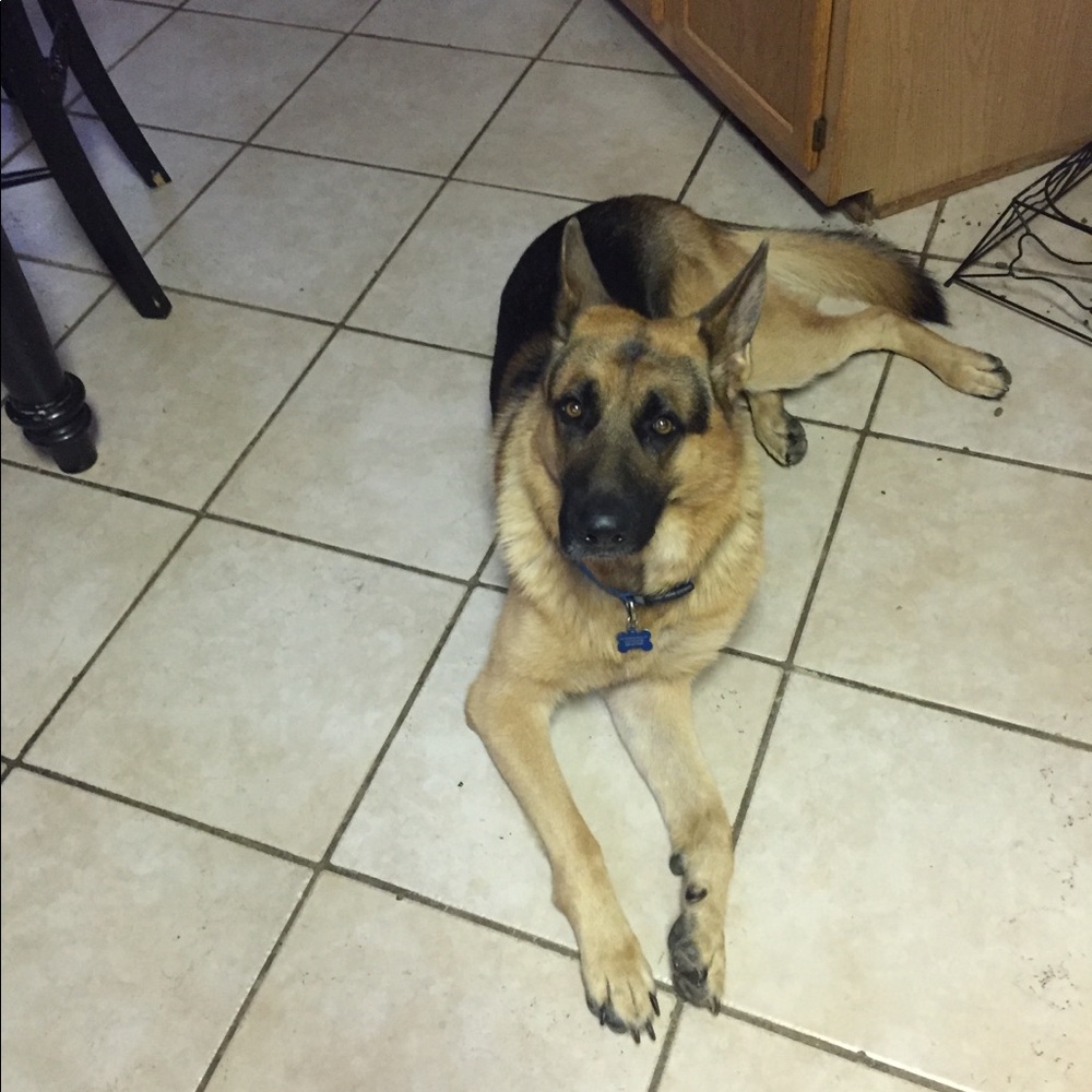 Meet your Posher, Paul